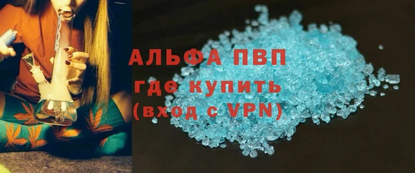 хмурый Абаза