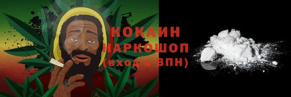 хмурый Абаза