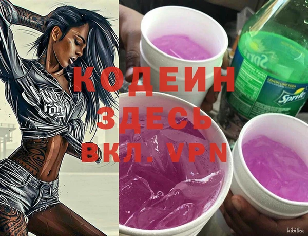 гашик Алзамай