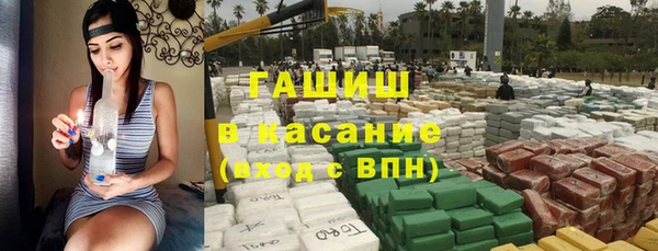 хмурый Абаза