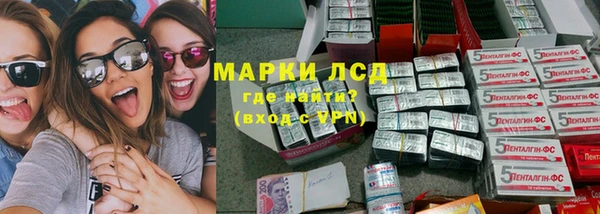 хмурый Абаза
