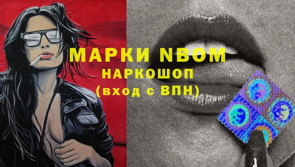 гашик Алзамай