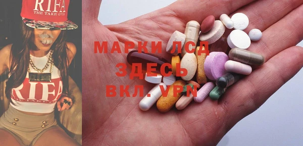 хмурый Абаза