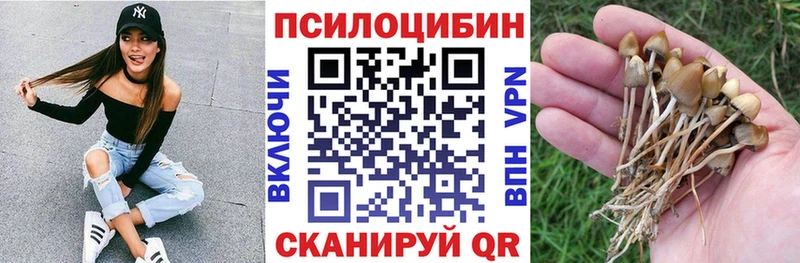 Псилоцибиновые грибы Magic Shrooms  ОМГ ОМГ как зайти  Сурск 